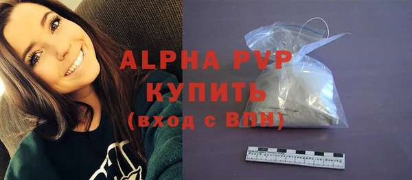 хмурый Арсеньев