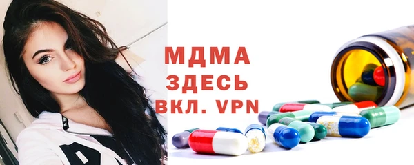 хмурый Арсеньев
