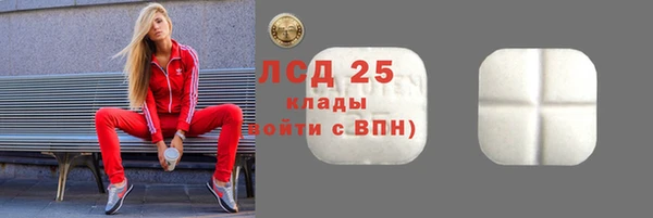 хмурый Арсеньев