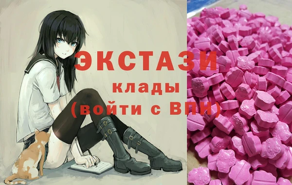 хмурый Арсеньев