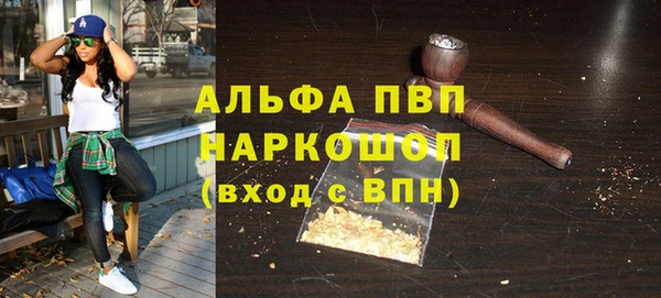 крисы Баксан