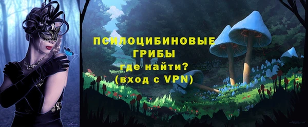 хмурый Арсеньев