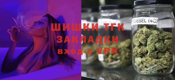 хмурый Арсеньев