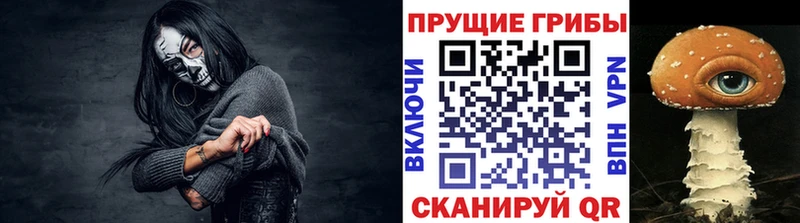 Псилоцибиновые грибы мицелий  OMG как войти  Нижний Ломов 